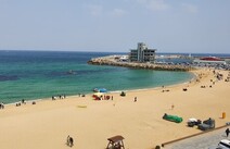 오피라이브 강릉안목해변