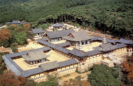 오피라이브 핫플레이스 경주불국사