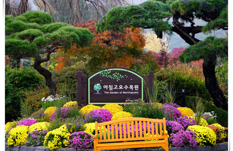 오피라이브 핫플레이스 가평아침고요수목원