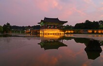 오피라이브 경북경주시