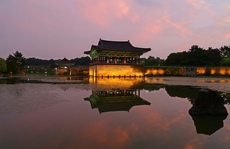 오피라이브 핫플레이스 경북경주시