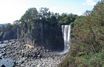 오피라이브 제주정방폭포