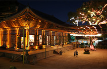 오피라이브 서울조계사