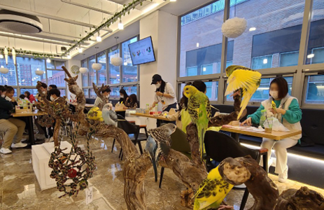 오피라이브 핫플레이스 광주리프패럿 양산점