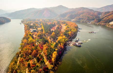 오피라이브 핫플레이스 가평남이섬