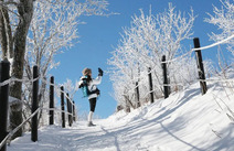 오피라이브 강원설악산 국립공원