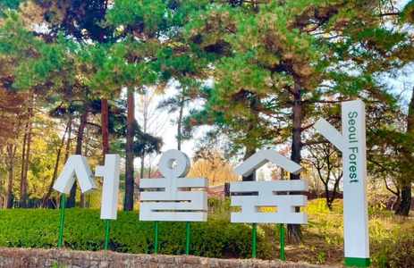 오피라이브 핫플레이스 서울서울숲공원